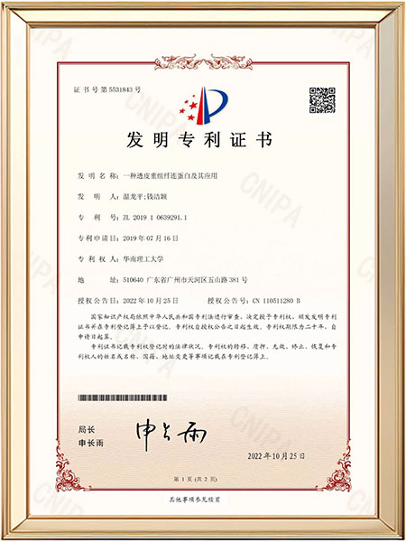 发明专利-一种高渗透重组纤连蛋白及其应用