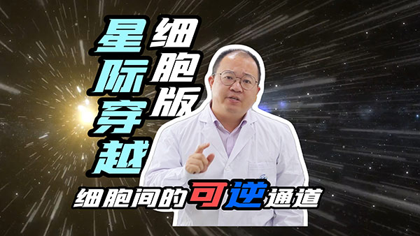 cTDP环肽-讲解