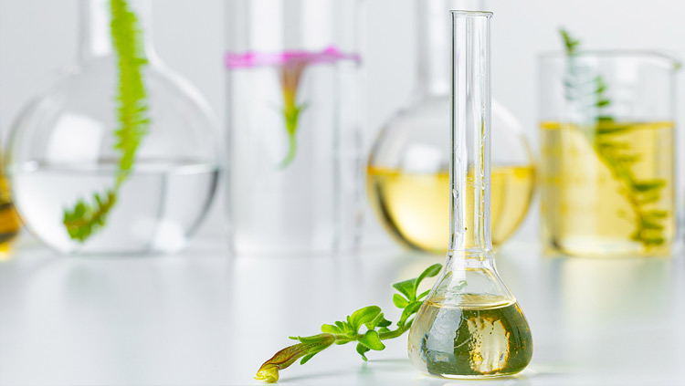 化妆品原料——美尔健生物深耕透皮技术创新，打造科学护肤新体验