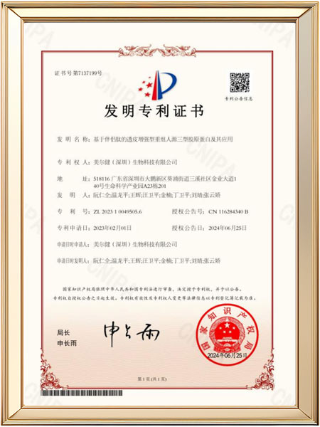 发明专利-基于肽伴侣的高渗透增强型重组人源III型胶原蛋白及其应用