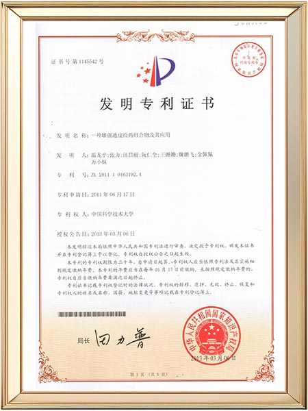 发明专利-一种增强高渗透促透组合物及其应用