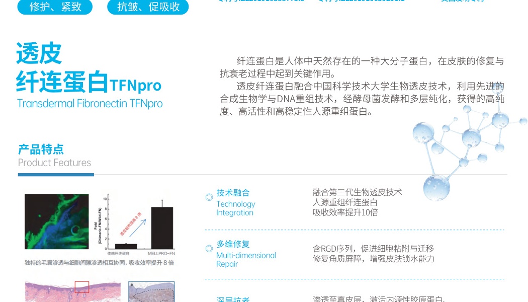 TFNpro transdermal fibronectin: 8-fold enhanced absorption and stratum corneum barrier repair histological evidence.