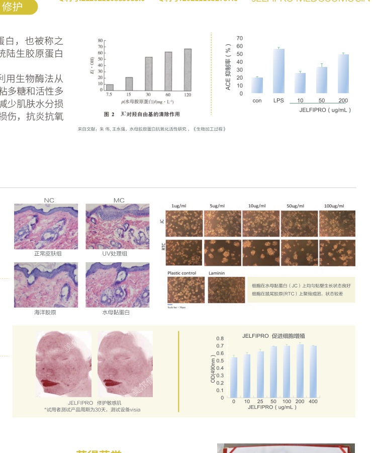 JELFIPRO jellyfish mucin anti-photoaging, cell proliferation (OD490nm), and ACE inhibition curve.