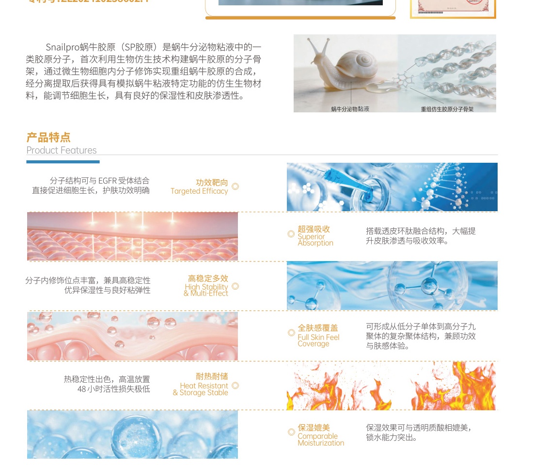 Snailpro biomimetic snail collagen EGFR binding and 48-hour thermal stability retention (>95%).