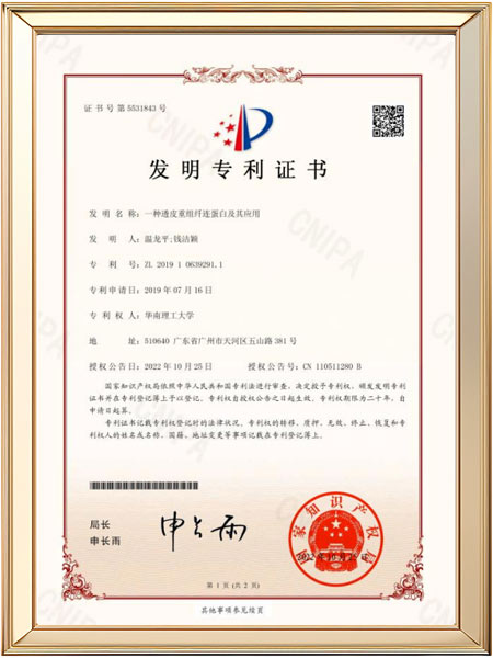 发明专利-一种高渗透纤连蛋白方法和应用