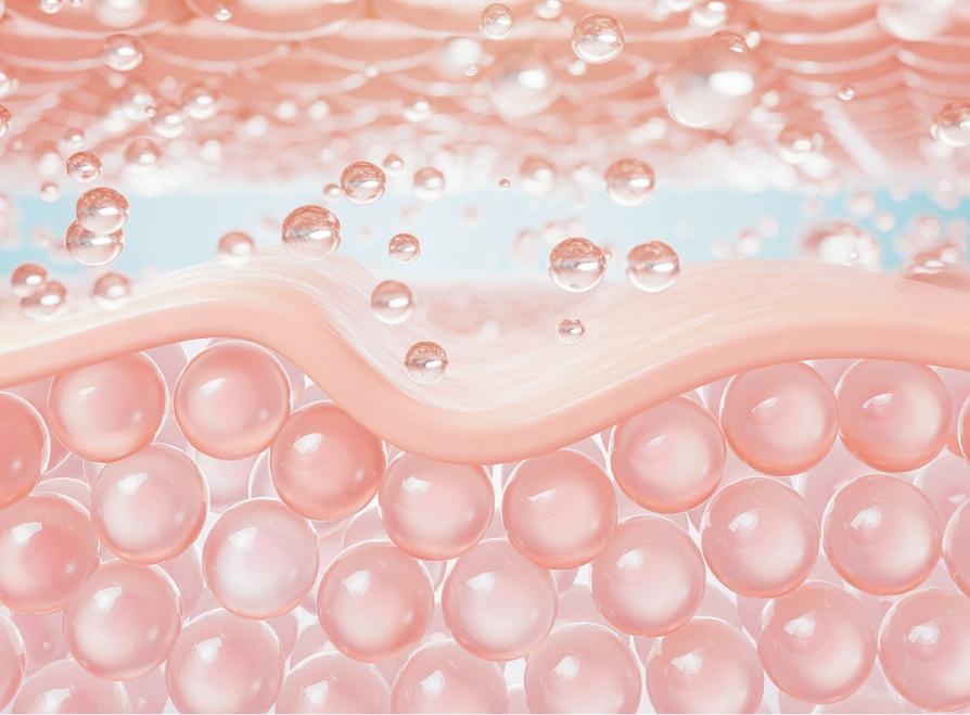 5D collagen multidimensional scaffolding microenvironment and dermal plumping matrix.