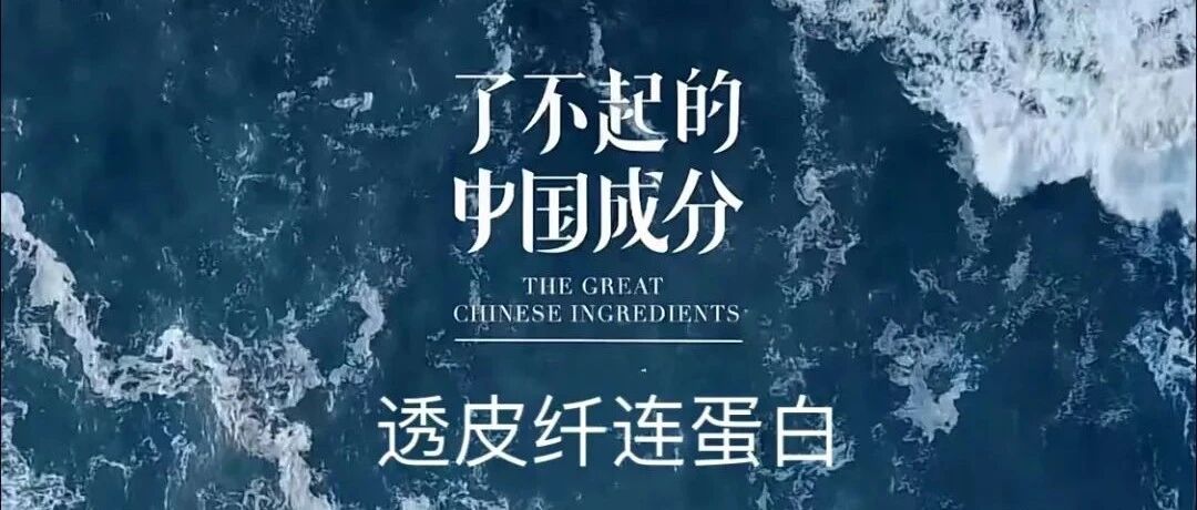解锁核心原料纤连蛋白的前沿机制与美肌功效！