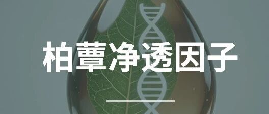 增长94.74%！这类原料爆了！美尔健生物推出“柏蕈净透因子”，引领植物提取物新浪潮