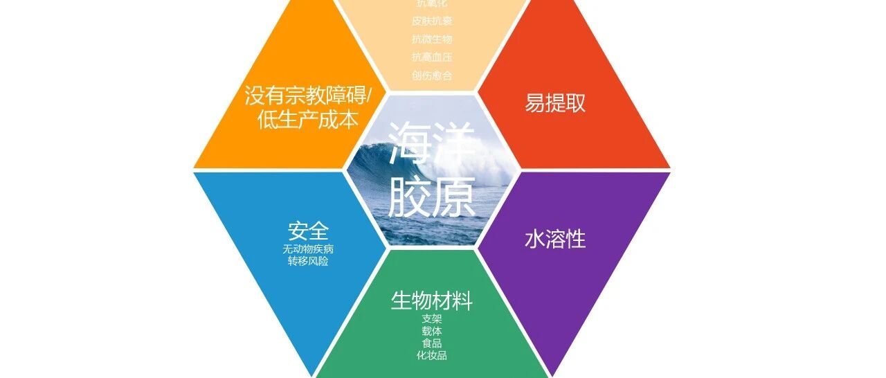海洋胶原蛋白：生物医学应用中有前途的生物材料