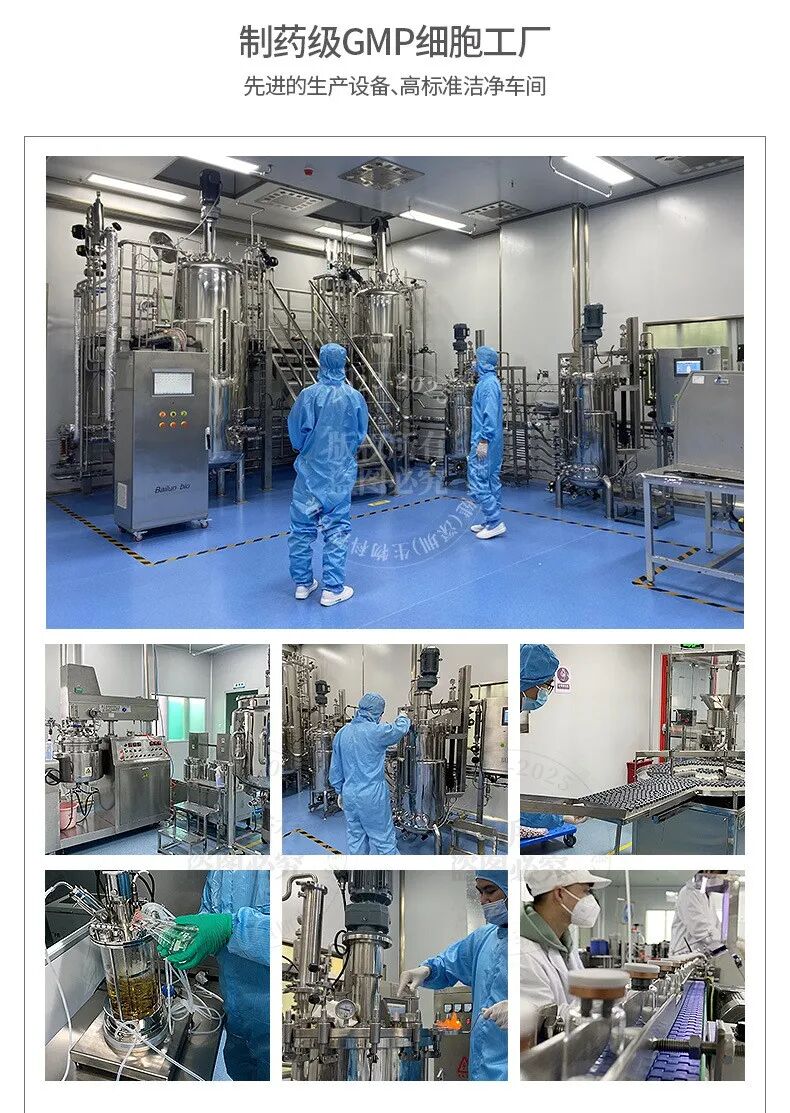 GMP自动化生物发酵反应器