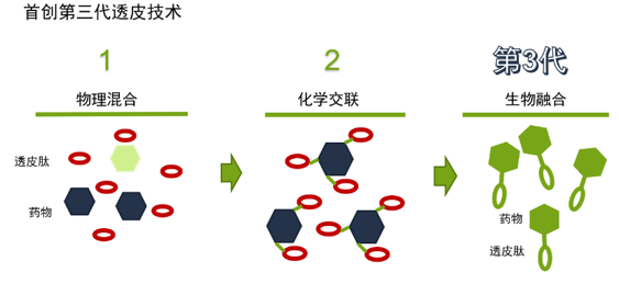 第三代高渗透肽融合技术