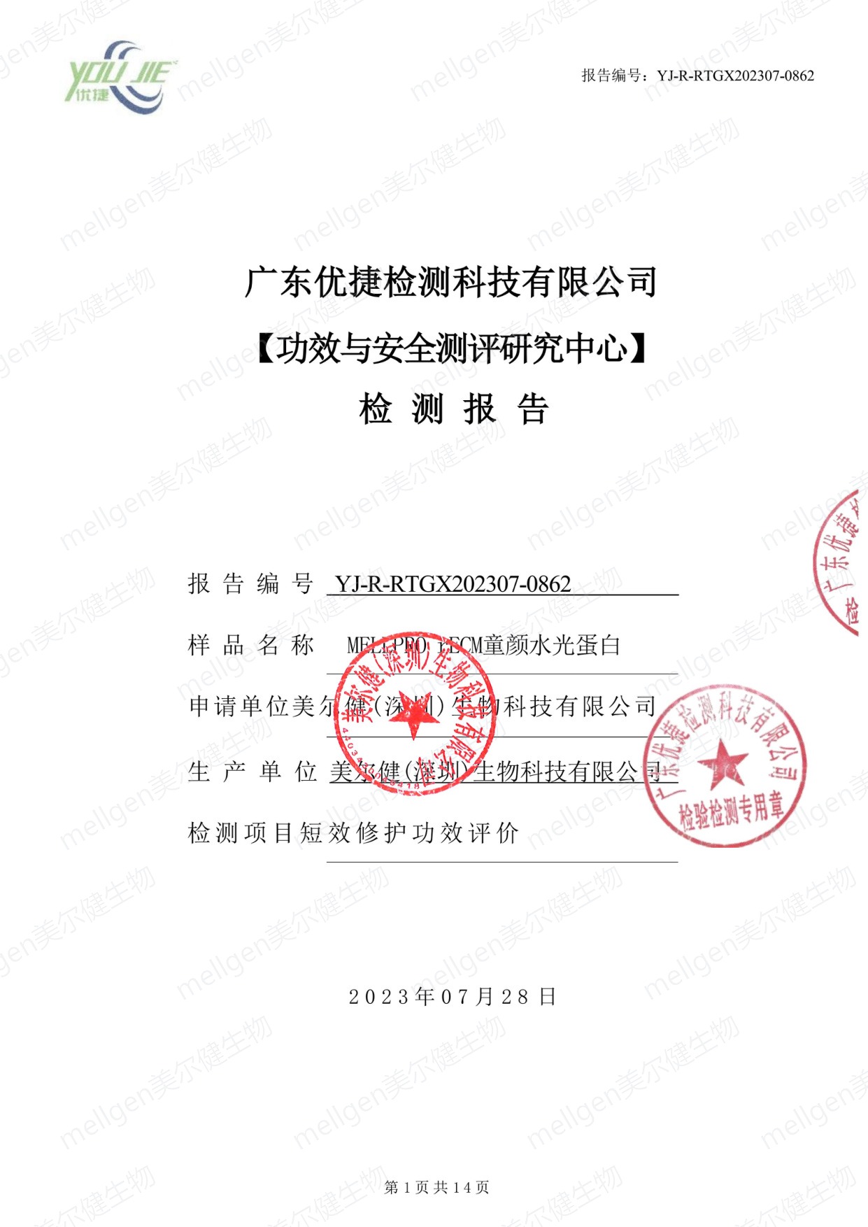 报告封面及基本信息